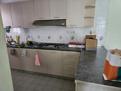 Hume Park I (D21), Condominium #483242161